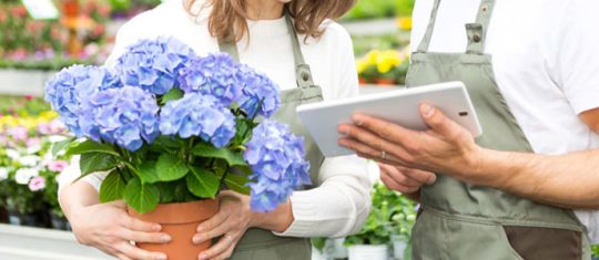 Offrez des fleurs à vos contacts